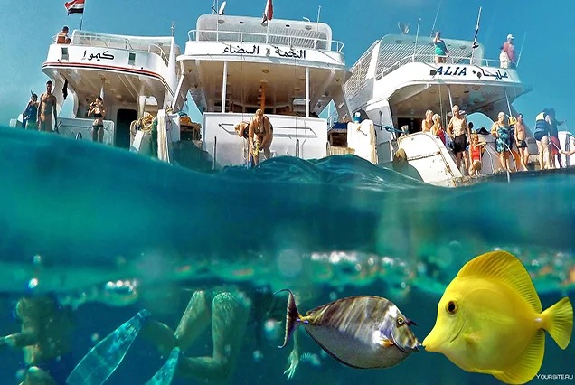 Giftun insel Hurghada mit dem Boot