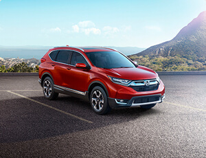 Privater Transfer Hurghada – Marsa Alam (oder umgekehrt)  Mit Hallo Reisen Tours – sicher, bequem und individuell