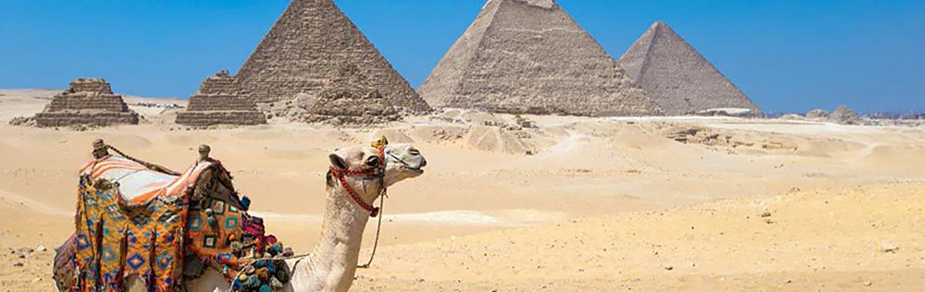 Kairo Tagesausflug: Individueller Ausflug mit Übernachtung in Kairo mit dem Kleinbus/PKW