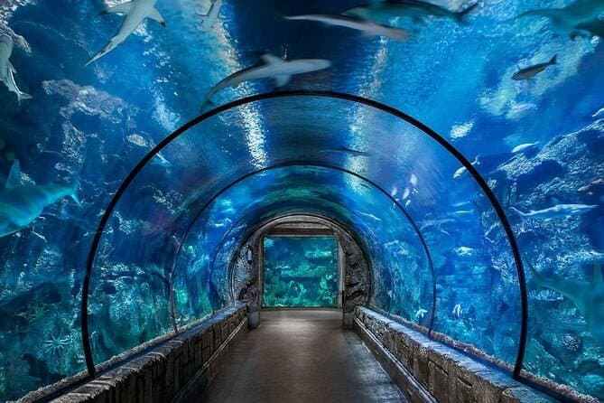 Aquarium Hurghada Preise