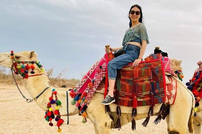 Hurghada Kamelreiten Preise – Erleben Sie den Zauber der Wüste auf dem Rücken der Kamele