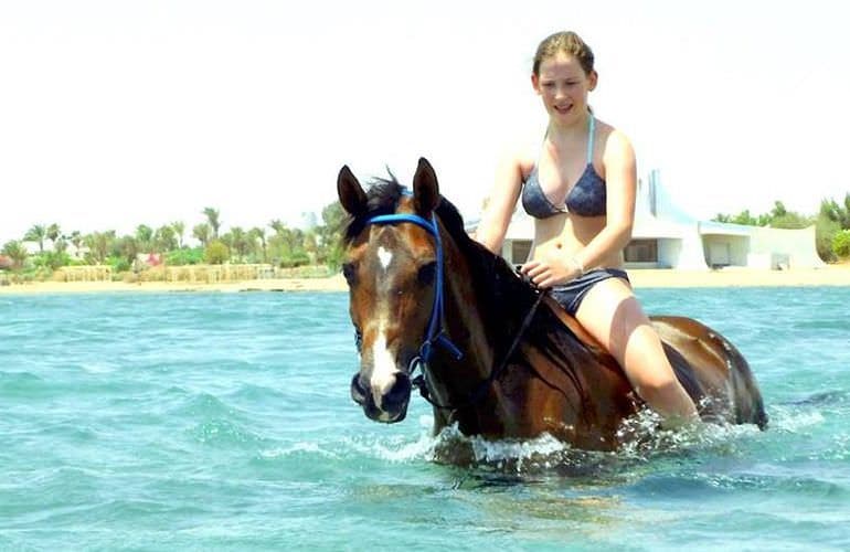 Pferde reiten Hurghada Preise 2026: Romantik am Strand & Action in der Wüste