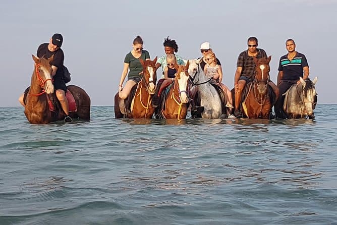 Pferde reiten Hurghada Preise
