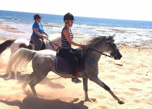 Reiten Hurghada Preise