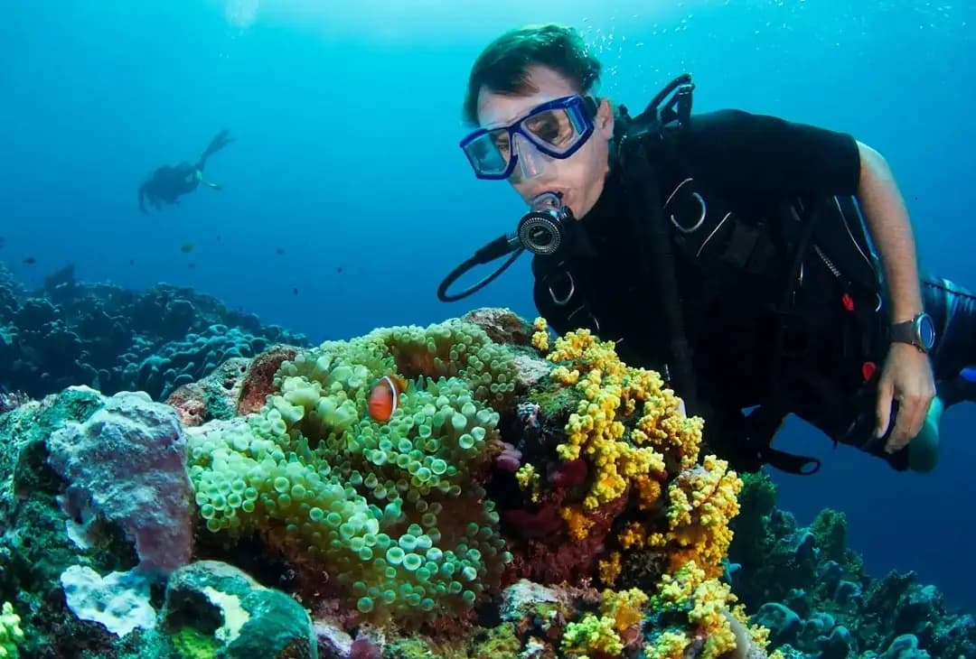 Tauchen Hurghada Preise – Ihr Guide für die faszinierende Unterwelt des Roten